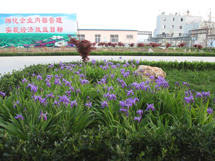 公司廠區